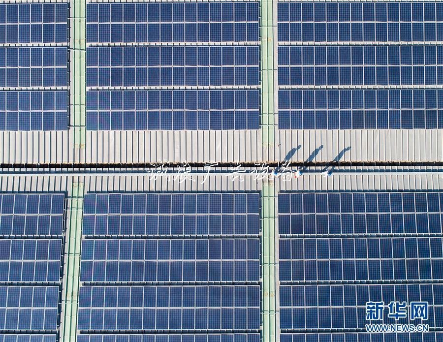 香港工聯(lián)會(huì)舉辦酒會(huì)社區(qū)宣傳欄慶祝新中國成立70周年