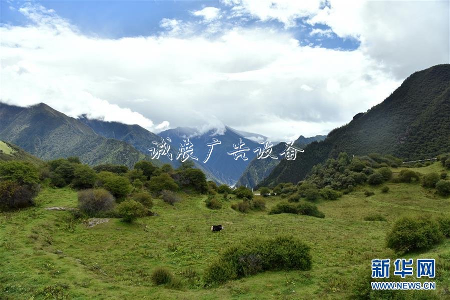 香港工聯(lián)會(huì)舉辦酒會(huì)社區(qū)宣傳欄慶祝新中國成立70周年