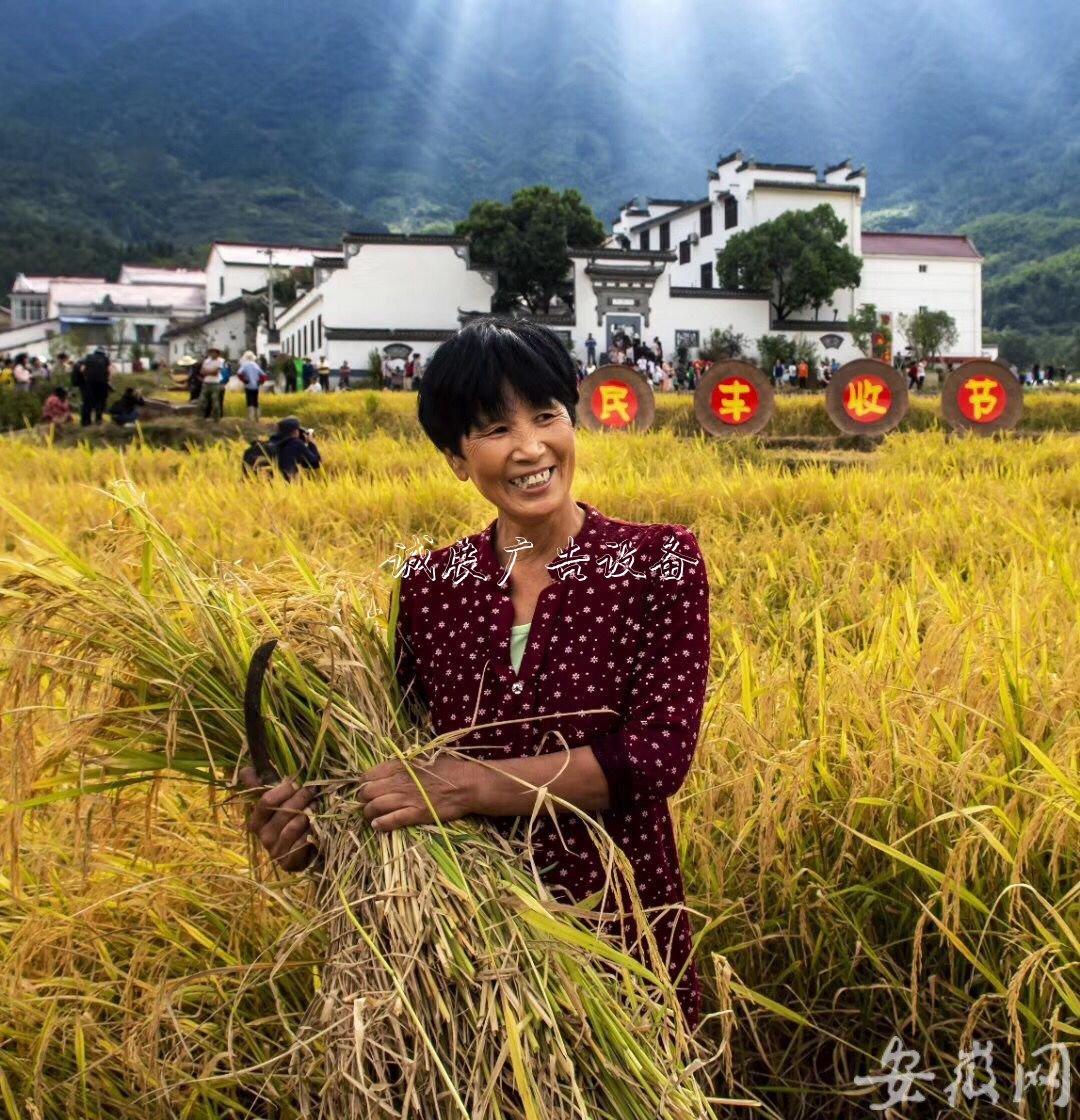 石臺農(nóng)民歡慶“中國學(xué)校宣傳欄農(nóng)民豐收節(jié)” (組圖)