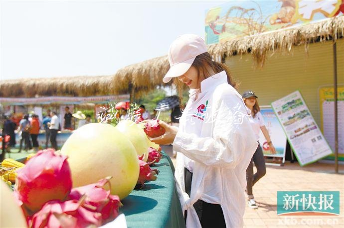 ■9月23日，廣州市（從化）2019年中國(guó)農(nóng)民豐收節(jié)開(kāi)幕。新快報(bào)記者 林里/攝