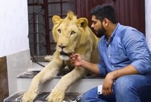 巴基斯坦兄弟飼養(yǎng)雄獅帶其駕車出游來自巴基斯坦卡拉奇的兩兄弟哈姆撒·侯賽因(Hamzah)和哈?！ず钯愐?Hassan Hussain)有著一位非傳統(tǒng)室友：一頭名叫辛巴(Simba)的成年非洲雄獅。這對熱愛動物的兄弟甚至還開車帶辛巴一起旅行。【詳細】國際新聞｜國際熱圖