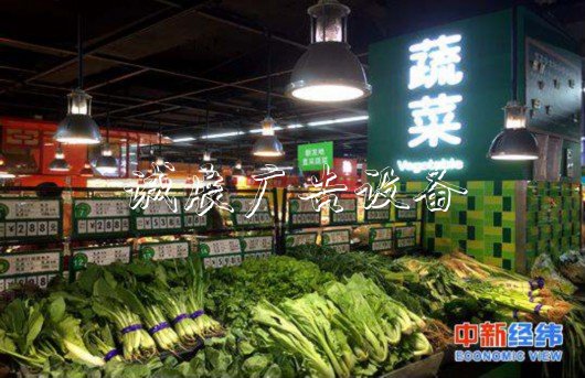 資料圖：蔬菜。中新經(jīng)緯攝
