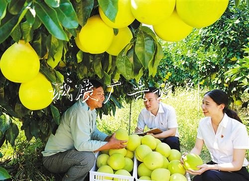 【大美中國】廣告燈箱多少錢一個金秋時節(jié)慶豐收