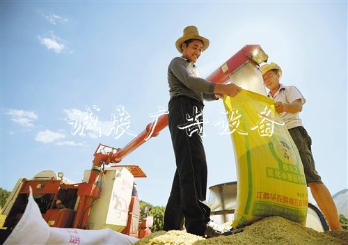 【大美中國】廣告燈箱多少錢一個金秋時節(jié)慶豐收