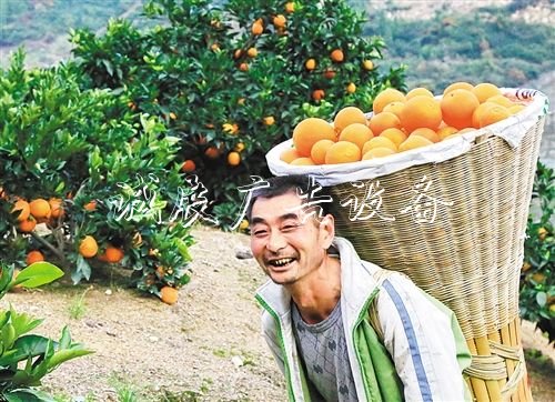 【大美中國】廣告燈箱多少錢一個金秋時節(jié)慶豐收