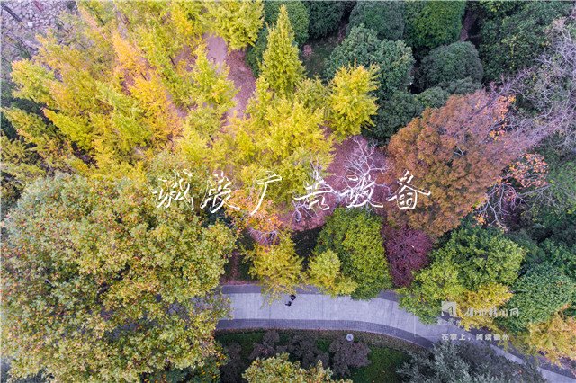 我市開展“垃圾不落地”試點(diǎn)工作，三個(gè)試文化宣傳欄點(diǎn)區(qū)域?yàn)椋核らT歷史街區(qū)、孔子文化公園、西區(qū)草坪公園