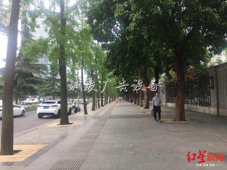 成都街頭垃圾箱消失？宣傳欄 城管委：減量調整，已拆9001個