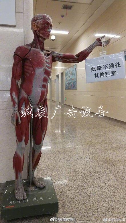 醫(yī)院拿“扒皮人體”當路路牌牌 醫(yī)生:問路的人減少九成
