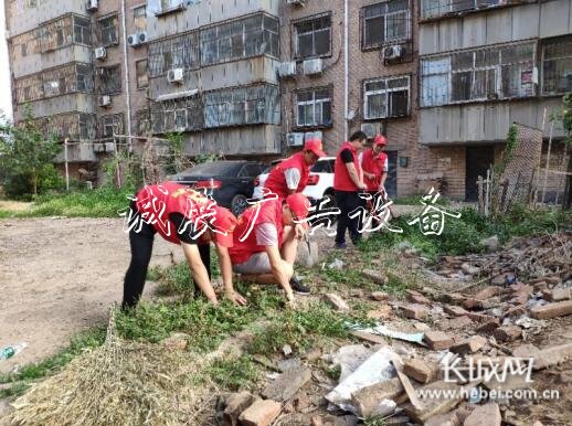 中國(guó)電信衡水分公司組宣傳欄織開(kāi)展黨員志愿服務(wù)入社