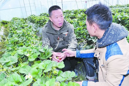 丹巴“網(wǎng)紅村”成名記廣告垃圾箱:新媒體搭臺(tái)全域旅游唱戲