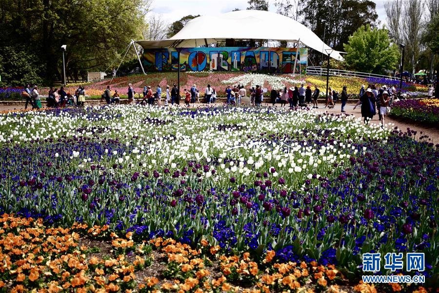 2020國考時間出爐:垃圾箱10月15日起報名 11月24日筆試