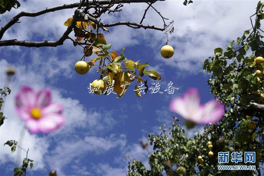 2020國考時間出爐:垃圾箱10月15日起報名 11月24日筆試