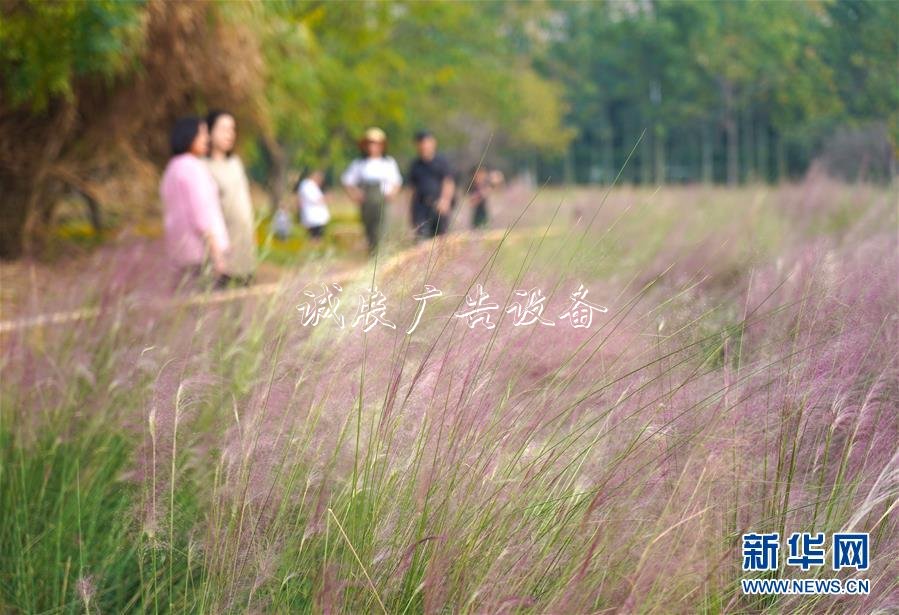 2020國考時間出爐:垃圾箱10月15日起報名 11月24日筆試