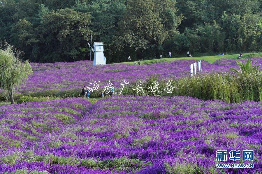 2020國考時間出爐:垃圾箱10月15日起報名 11月24日筆試