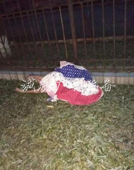 嚇人！這是什么垃圾？打文化宣傳欄開垃圾箱后差點(diǎn)兒魂兒也沒了