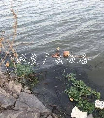 嚇人！這是什么垃圾？打文化宣傳欄開垃圾箱后差點(diǎn)兒魂兒也沒了