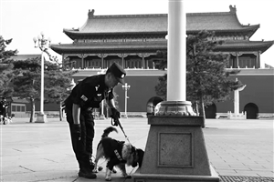 安保,帶著,安全檢社區(qū)宣傳欄查,慶?；顒?成了