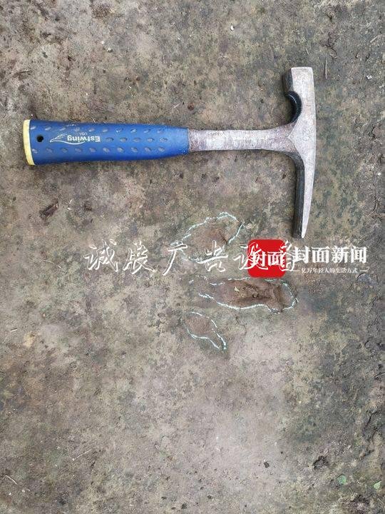 宜賓鄉(xiāng)村網紅報料路牌：我家發(fā)現(xiàn)恐龍腳印
