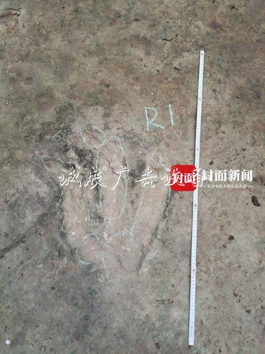 宜賓鄉(xiāng)村網紅報料路牌：我家發(fā)現(xiàn)恐龍腳印