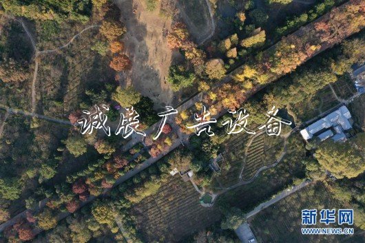 （美麗中國）（2）金陵古道染秋色