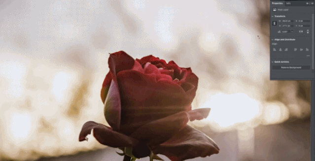 Adobe開(kāi)了個(gè)發(fā)布會(huì) 看完廣告垃圾箱之后我覺(jué)得我也能做設(shè)計(jì)