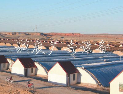 戈壁灘飄出果蔬香（田間學(xué)校宣傳欄追蹤高質(zhì)量·突破資源約束）