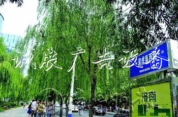 “白東西，綠南北”，宣傳欄廠家這句老北京暗語你知道嗎