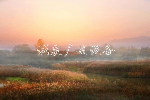 西溪濕地造福杭州路燈燈箱城，他見證10年巨變