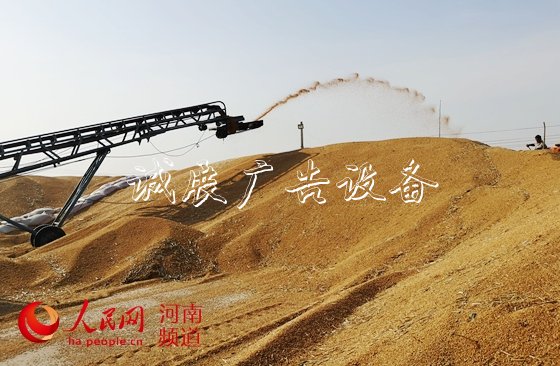 讓"中國碗"多盛"河南糧"　　8600萬畝小麥顆粒歸倉，今年又是一個豐收年！近年來，<a href=