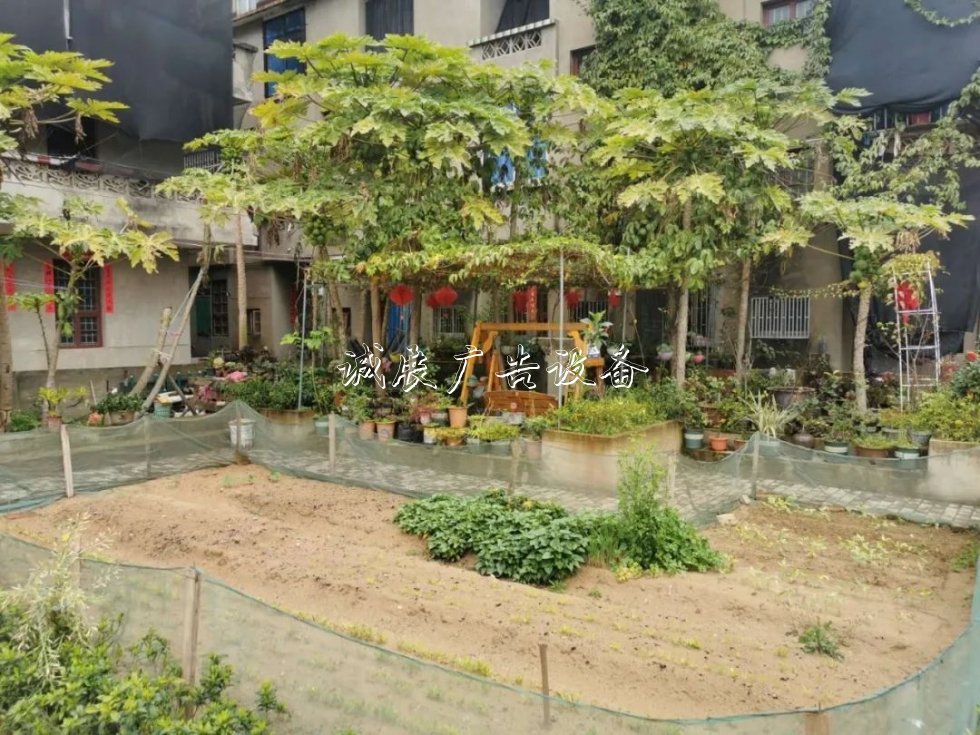 尋跡沿海小鎮(zhèn)，看長樂這個社區(qū)美麗“變身”！