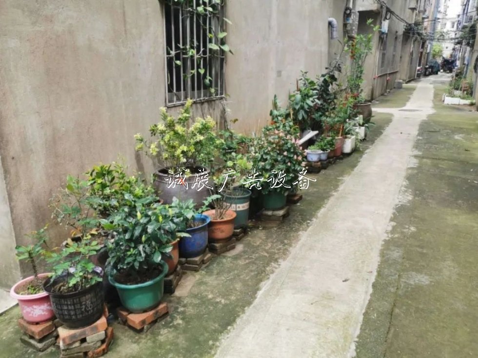 尋跡沿海小鎮(zhèn)，看長樂這個社區(qū)美麗“變身”！