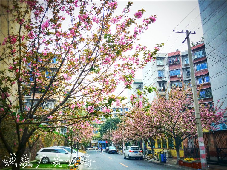 成都高新區(qū)：黨建引領垃圾分類亭社區(qū)治理創(chuàng)新 鄰里守望暖