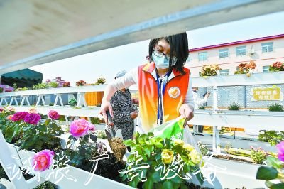 二里莊社區(qū)種出屋頂垃圾箱花園廚余垃圾就地資源化