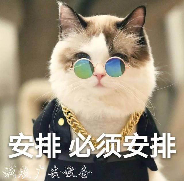 【上觀新聞】就地取材，寶山區(qū)這群環(huán)衛(wèi)工“借”雨水沖刷垃圾箱房，節(jié)水又環(huán)保