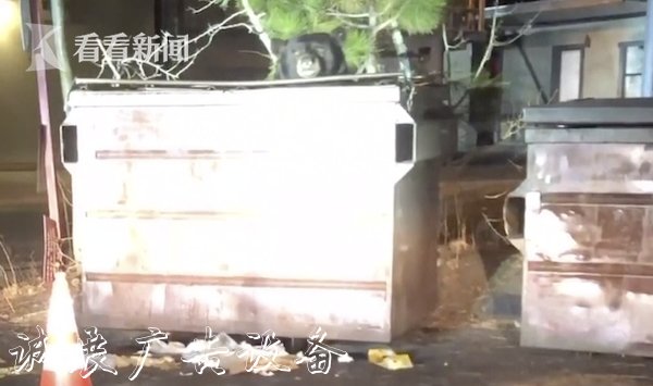 視頻｜巨大貪吃熊被困文化宣傳欄垃圾箱 警方展開營救行動