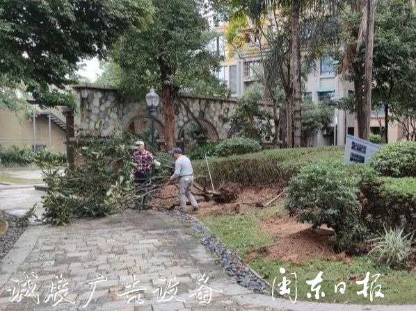 首批82個(gè)垃圾分類屋春指路牌燈箱節(jié)前建成！有你家小區(qū)嗎？