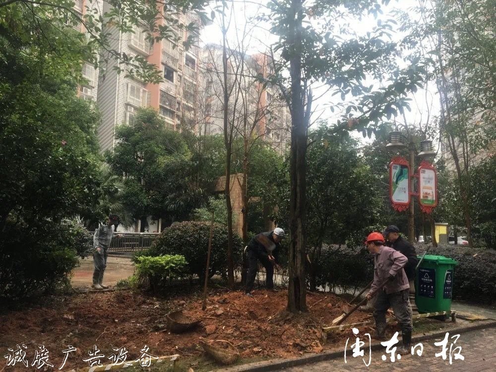 首批82個(gè)垃圾分類屋春指路牌燈箱節(jié)前建成！有你家小區(qū)嗎？