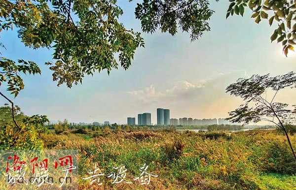 邁開(kāi)雙腿迎牛年燈箱 運(yùn)動(dòng)放松好休閑