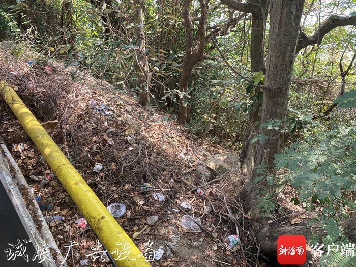 三亞“網(wǎng)紅公路”太陽路燈燈箱灣路旁垃圾遍地 旅游人士
