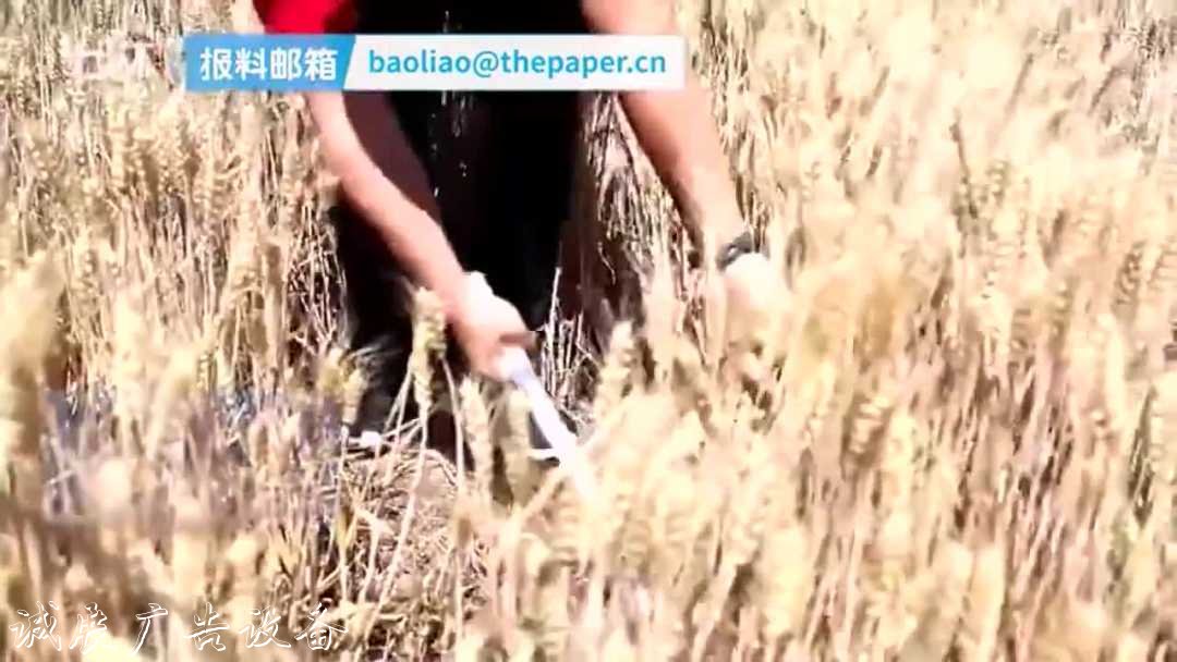 這塊路牌火了！垃圾分類亭送給今天的高考生