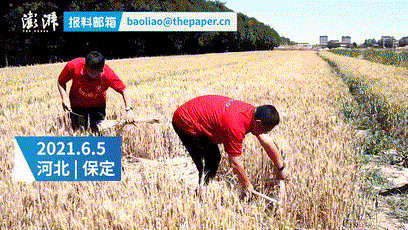 這塊路牌火了！垃圾分類亭送給今天的高考生