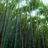 四分類垃太陽(yáng)能垃圾桶圾亭